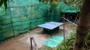 Thumbnail of pic_CW_Ho_106.JPG