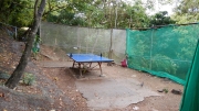 Thumbnail of pic_CW_Ho_107.JPG