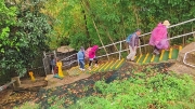Thumbnail of pic_Derek_Wong_005.jpg