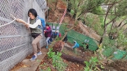 Thumbnail of pic_Derek_Wong_064.jpg