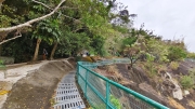 Thumbnail of pic_Derek_Wong_072.jpg
