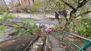 Thumbnail of pic_Derek_Wong_075.jpg