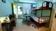 Thumbnail of pic_KL_Sin_041.jpg