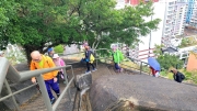 Thumbnail of pic_KL_Sin_045.jpg
