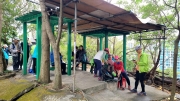 Thumbnail of pic_KL_Sin_054.jpg