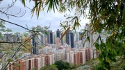 Thumbnail of pic_KL_Sin_055.jpg