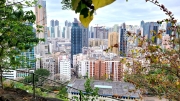 Thumbnail of pic_KL_Sin_061.jpg