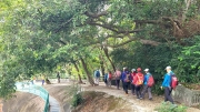 Thumbnail of pic_KL_Sin_064.jpg