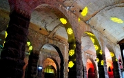 Thumbnail of pic_Lee_Shing_018.JPG