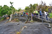 Thumbnail of pic_Lee_Shing_044.JPG