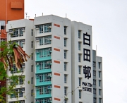 Thumbnail of pic_Lee_Shing_046.JPG