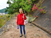 Thumbnail of pic_Lee_Shing_049.JPG