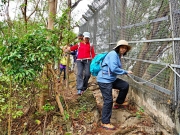 Thumbnail of pic_Lee_Shing_050.JPG