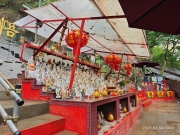 Thumbnail of pic_XF_Liu_019.jpg