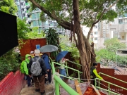 Thumbnail of pic_XF_Liu_020.jpg