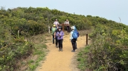 Thumbnail of pic_CL_Yip_047.jpg