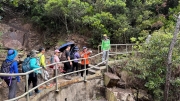 Thumbnail of pic_CL_Yip_063.jpg
