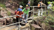 Thumbnail of pic_CL_Yip_065.jpg