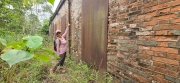 Thumbnail of pic_CW_Ho_017.jpg