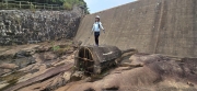 Thumbnail of pic_CW_Ho_064.jpg