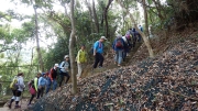 Thumbnail of pic_CW_Ho_079.JPG