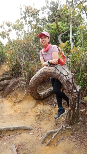 Thumbnail of pic_CW_Ho_084.JPG