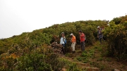 Thumbnail of pic_CW_Ho_086.JPG
