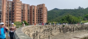 Thumbnail of pic_Cindy_Tse_001.jpg