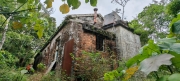 Thumbnail of pic_Cindy_Tse_015.jpg