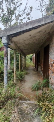 Thumbnail of pic_Cindy_Tse_016.jpg