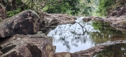 Thumbnail of pic_Cindy_Tse_025.jpg