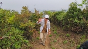 Thumbnail of pic_Derek_Wong_003.jpg