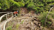 Thumbnail of pic_Derek_Wong_026.jpg