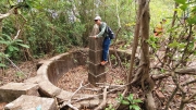 Thumbnail of pic_Derek_Wong_037.jpg