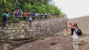 Thumbnail of pic_Derek_Wong_044.jpg
