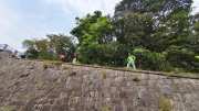 Thumbnail of pic_Derek_Wong_051.jpg