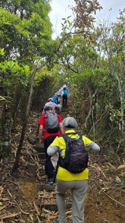 Thumbnail of pic_KW_Li_001.jpg