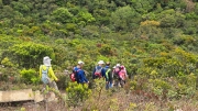 Thumbnail of pic_KW_Li_015.jpg