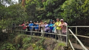Thumbnail of pic_KW_Li_033.jpg