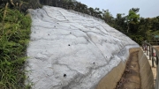 Thumbnail of pic_KW_Li_035.jpg