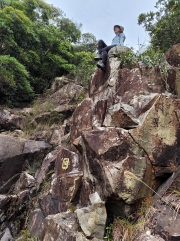 Thumbnail of pic_Kwok_Lam_006.jpg