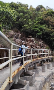 Thumbnail of pic_Kwok_Lam_067.jpg