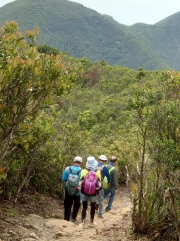 Thumbnail of pic_SK_Kwan_005.JPG