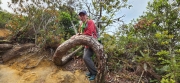 Thumbnail of pic_Si9_009.jpg