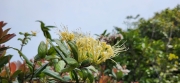 Thumbnail of pic_Si9_026.jpg