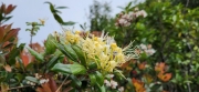 Thumbnail of pic_Si9_027.jpg