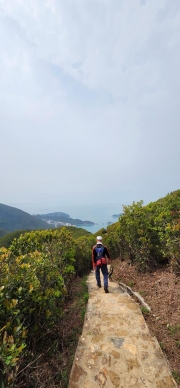Thumbnail of pic_Si9_036.jpg