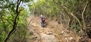 Thumbnail of pic_Si9_038.jpg
