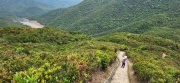 Thumbnail of pic_Si9_040.jpg