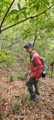 Thumbnail of pic_Si9_050.jpg